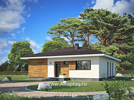 Проекты домов Альфаплан - Проект современного одноэтажного дома - превью дополнительного изображения №1